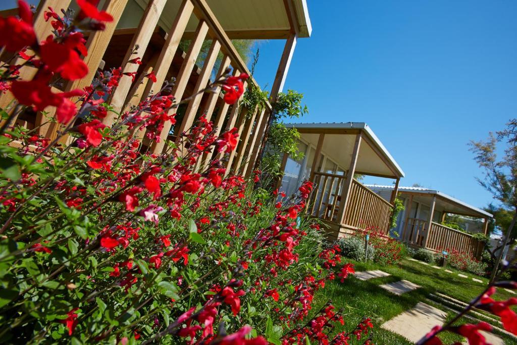 Apartaments Terraza - Salata Mar Roses Rom bilde