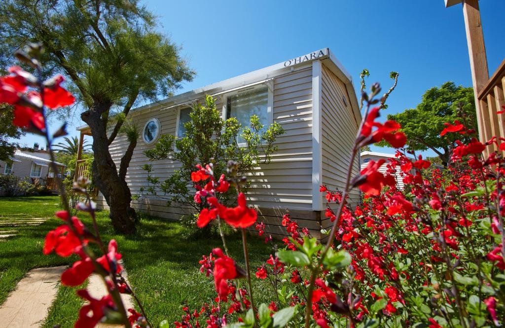 Apartaments Terraza - Salata Mar Roses Rom bilde